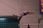 Women's Diving  Wheaton College Women’s Diving vs Mount Holyoke College. - Photo by Keith Nordstrom : Wheaton, Swimming & Diving